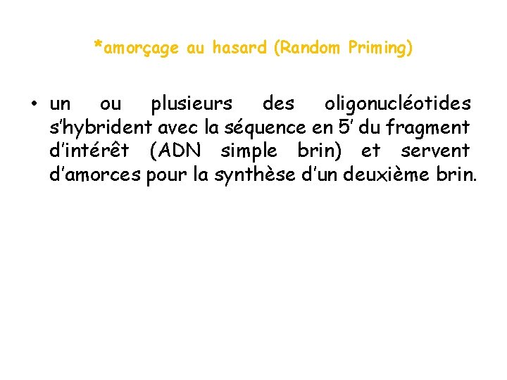 *amorçage au hasard (Random Priming) • un ou plusieurs des oligonucléotides s’hybrident avec la