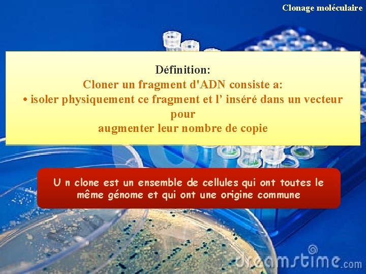 Clonage moléculaire Définition: Cloner un fragment d'ADN consiste a: • isoler physiquement ce fragment