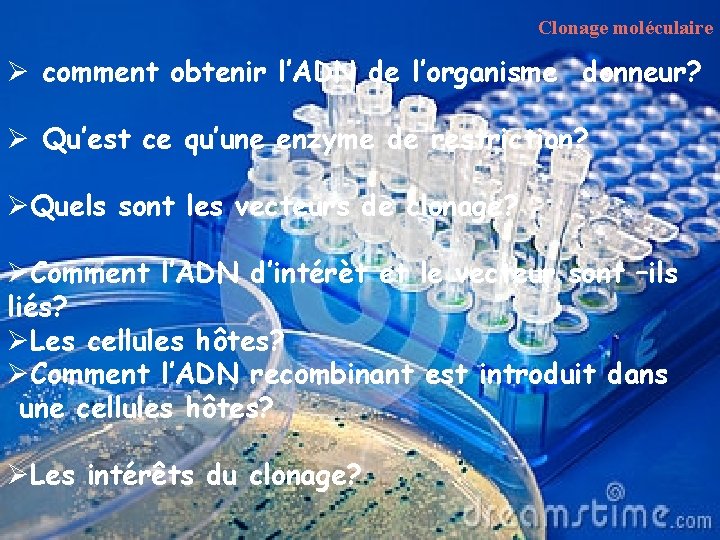 Clonage moléculaire Ø comment obtenir l’ADN de l’organisme donneur? Ø Qu’est ce qu’une enzyme