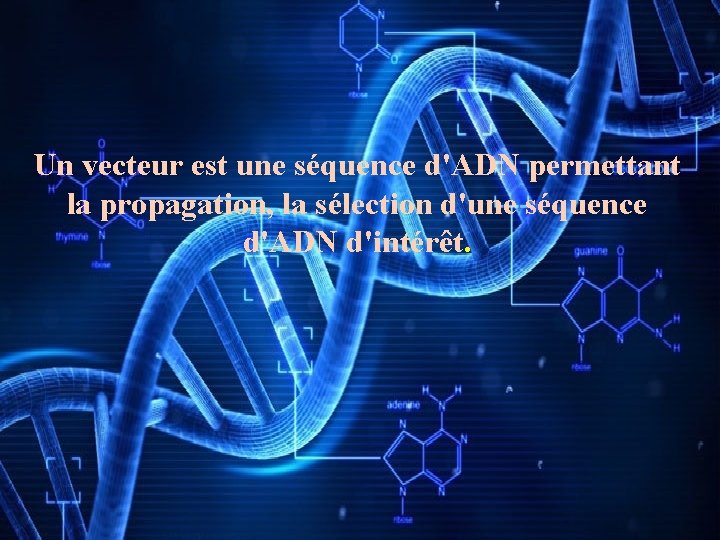 Un vecteur est une séquence d'ADN permettant la propagation, la sélection d'une séquence d'ADN