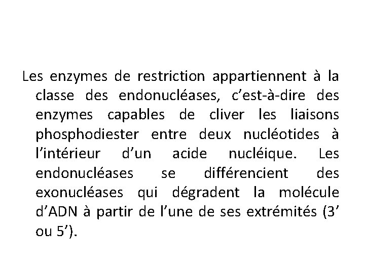 Les enzymes de restriction appartiennent à la classe des endonucléases, c’est-à-dire des enzymes capables