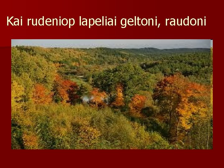 Kai rudeniop lapeliai geltoni, raudoni 