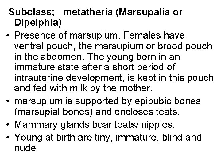 Subclass; metatheria (Marsupalia or Dipelphia) • Presence of marsupium. Females have ventral pouch, the