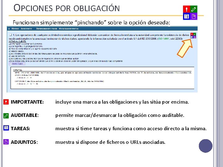OPCIONES POR OBLIGACIÓN Funcionan simplemente “pinchando” sobre la opción deseada: IMPORTANTE: incluye una marca