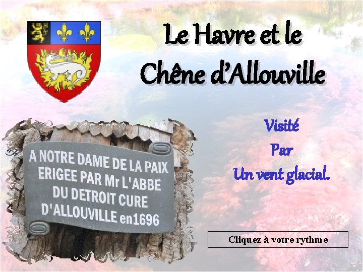 Le Havre et le Chêne d’Allouville Visité Par Un vent glacial. Cliquez à votre