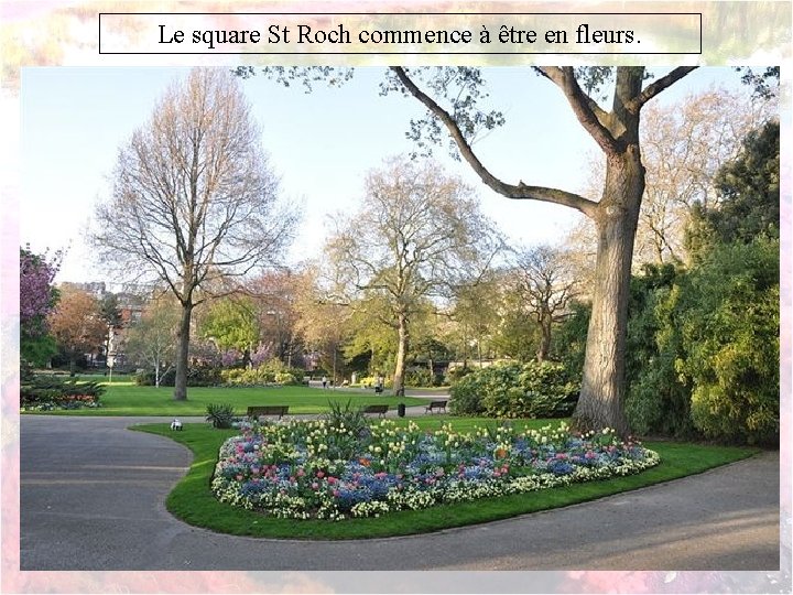 Le square St Roch commence à être en fleurs. 