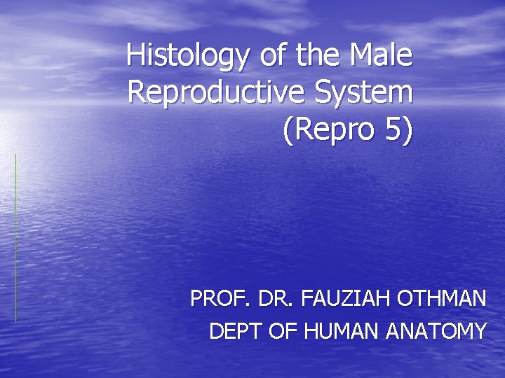 Histology of the Male Reproductive System (Repro 5) PROF. DR. FAUZIAH OTHMAN DEPT OF