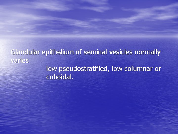 Glandular epithelium of seminal vesicles normally varies low pseudostratified, low columnar or cuboidal. 