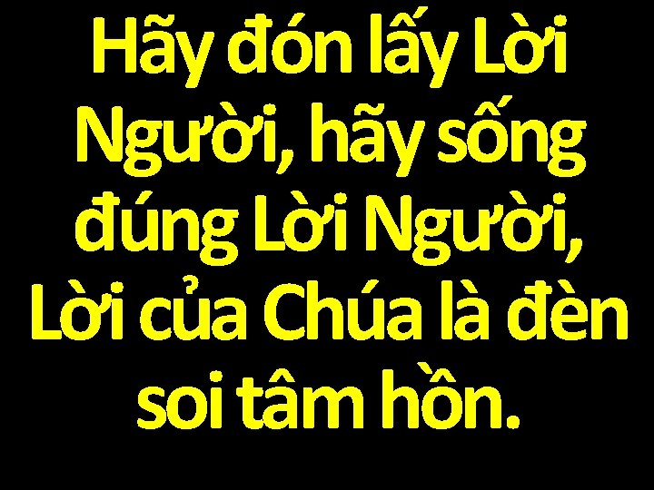 Hãy đón lấy Lời Người, hãy sống đúng Lời Người, Lời của Chúa là