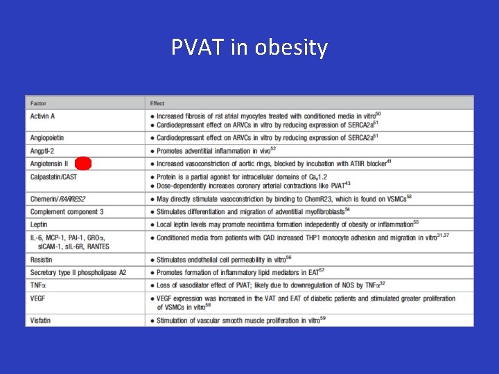 PVAT in obesity 