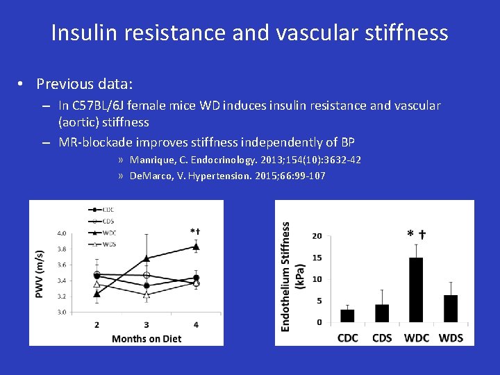 Insulin resistance and vascular stiffness • Previous data: – In C 57 BL/6 J