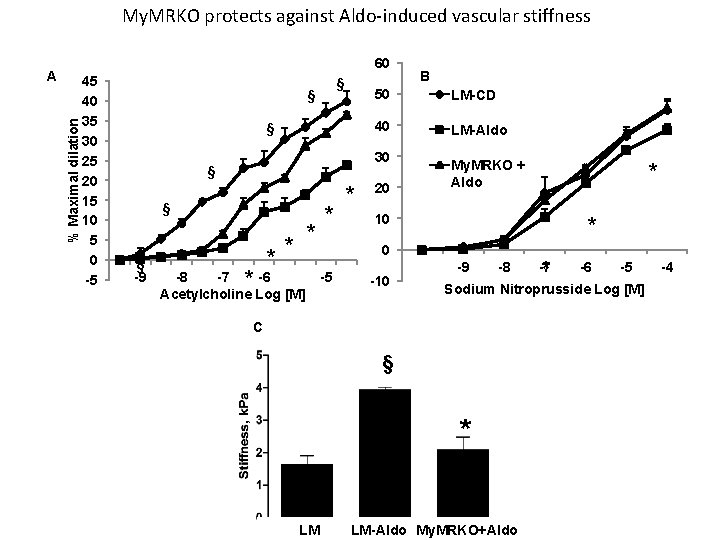 My. MRKO protects against Aldo-induced vascular stiffness 60 % Maximal dilation A 45 40