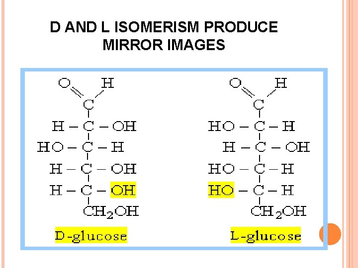 Carbohydrates Lecture Outline By The End Of The