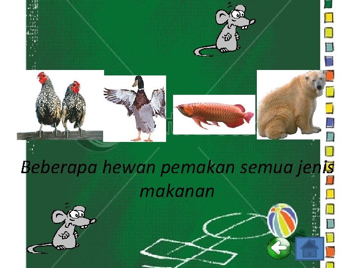 Beberapa hewan pemakan semua jenis makanan 