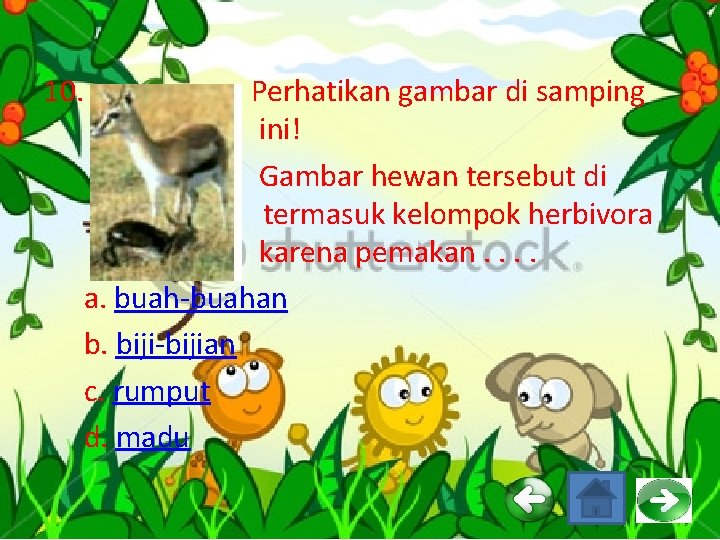 10. Perhatikan gambar di samping ini! Gambar hewan tersebut di atas termasuk kelompok herbivora