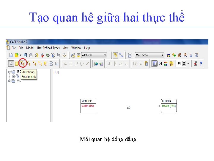 Tạo quan hệ giữa hai thực thể Mối quan hệ đồng đẳng 