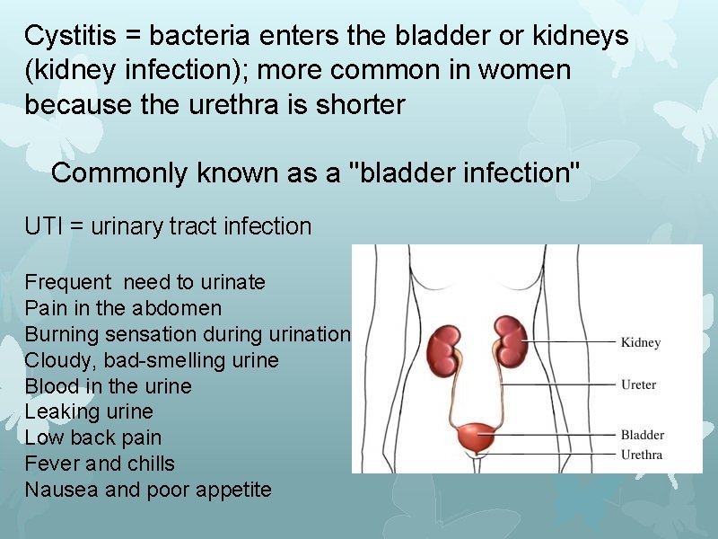 Cystitis = bacteria enters the bladder or kidneys (kidney infection); more common in women