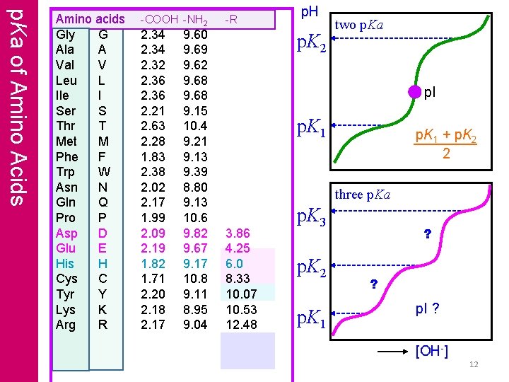 p. Ka of Amino Acids Amino acids Gly G Ala A Val V Leu p. Ka of Amino Acids Amino acids Gly G Ala A Val V Leu