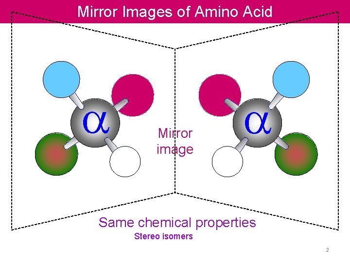 Mirror Images of Amino Acid a Mirror image a Same chemical properties Stereo isomers Mirror Images of Amino Acid a Mirror image a Same chemical properties Stereo isomers