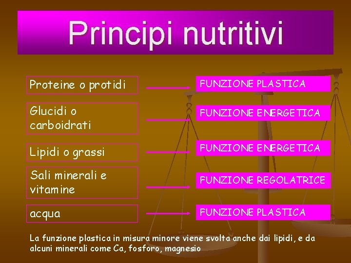 Principi nutritivi Proteine o protidi FUNZIONE PLASTICA Glucidi o carboidrati FUNZIONE ENERGETICA Lipidi o