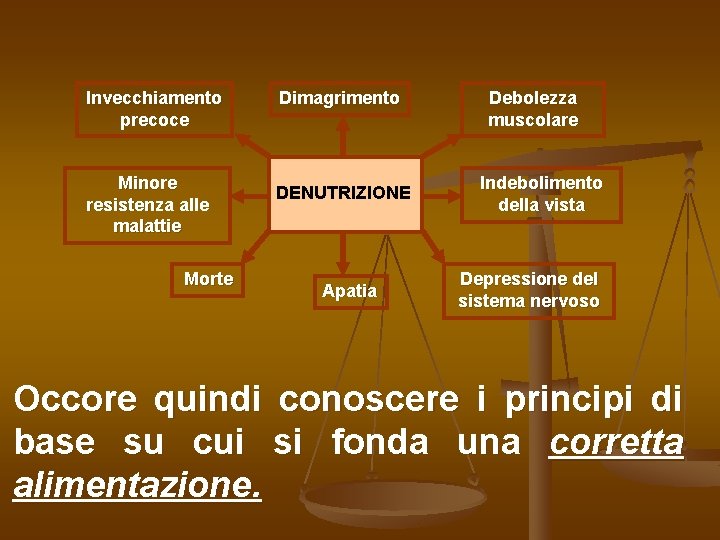 Invecchiamento precoce Minore resistenza alle malattie Morte Dimagrimento DENUTRIZIONE Apatia Debolezza muscolare Indebolimento della