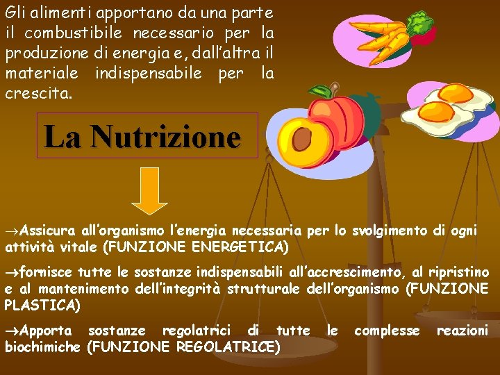 Gli alimenti apportano da una parte il combustibile necessario per la produzione di energia