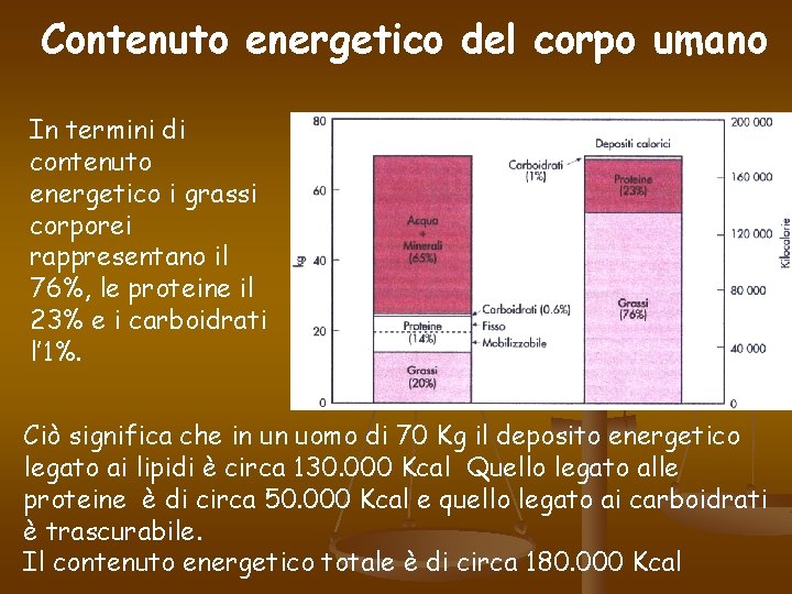 Contenuto energetico del corpo umano In termini di contenuto energetico i grassi corporei rappresentano