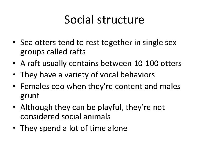 Social structure • Sea otters tend to rest together in single sex groups called