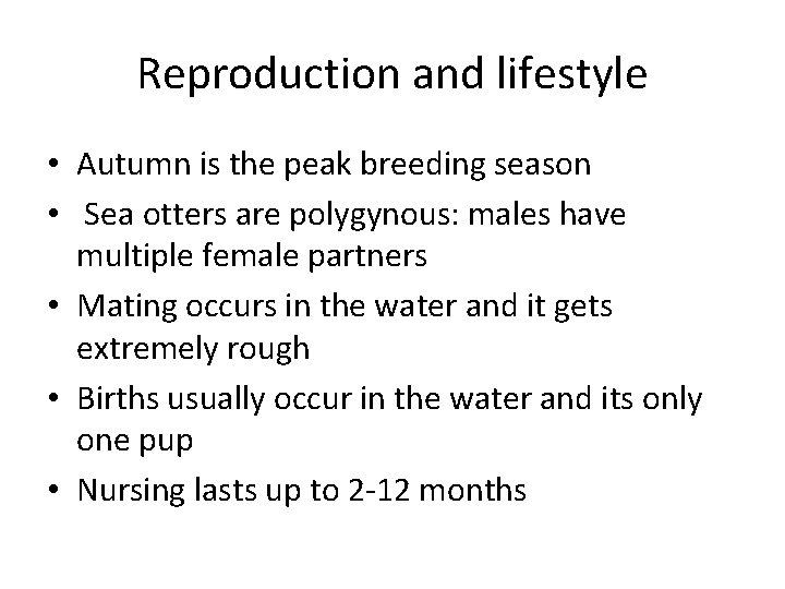 Reproduction and lifestyle • Autumn is the peak breeding season • Sea otters are