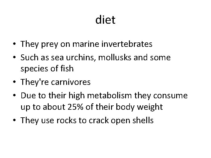 diet • They prey on marine invertebrates • Such as sea urchins, mollusks and