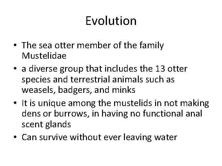 Evolution • The sea otter member of the family Mustelidae • a diverse group