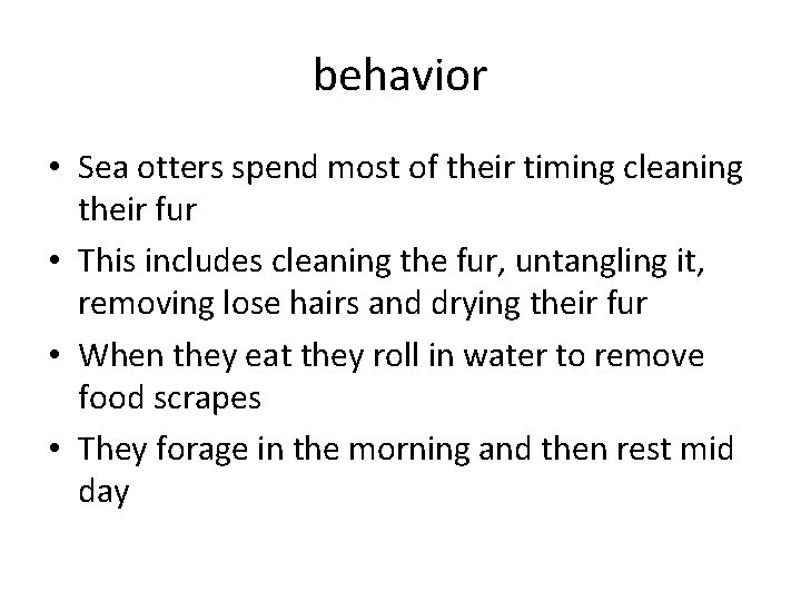 behavior • Sea otters spend most of their timing cleaning their fur • This