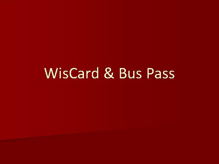 Wis. Card & Bus Pass 