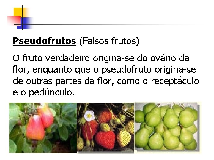 Pseudofrutos (Falsos frutos) O fruto verdadeiro origina-se do ovário da flor, enquanto que o