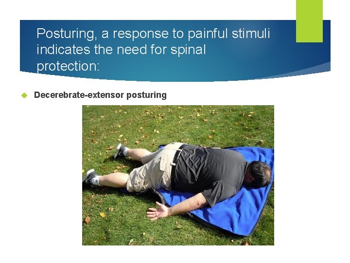 Posturing, a response to painful stimuli indicates the need for spinal protection: Decerebrate-extensor posturing