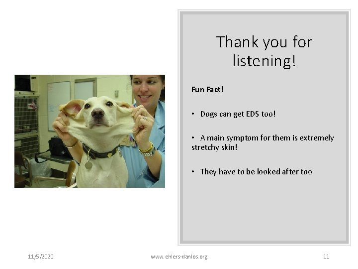 Thank you for listening! Fun Fact! • Dogs can get EDS too! • A Thank you for listening! Fun Fact! • Dogs can get EDS too! • A