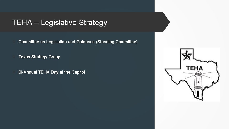 TEHA – Legislative Strategy Committee on Legislation and Guidance (Standing Committee) Texas Strategy Group