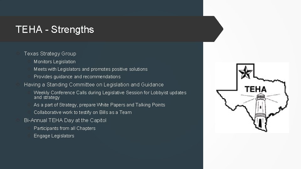 TEHA - Strengths Texas Strategy Group Monitors Legislation Meets with Legislators and promotes positive