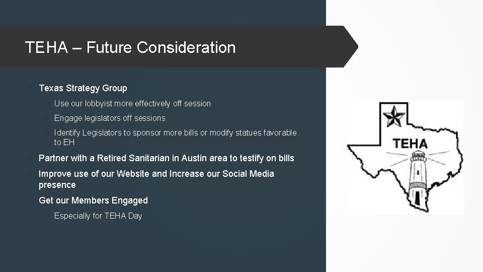 TEHA – Future Consideration Texas Strategy Group Use our lobbyist more effectively off session