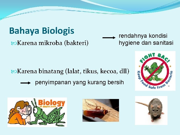 Bahaya Biologis Karena mikroba (bakteri) rendahnya kondisi hygiene dan sanitasi Karena binatang (lalat, tikus,