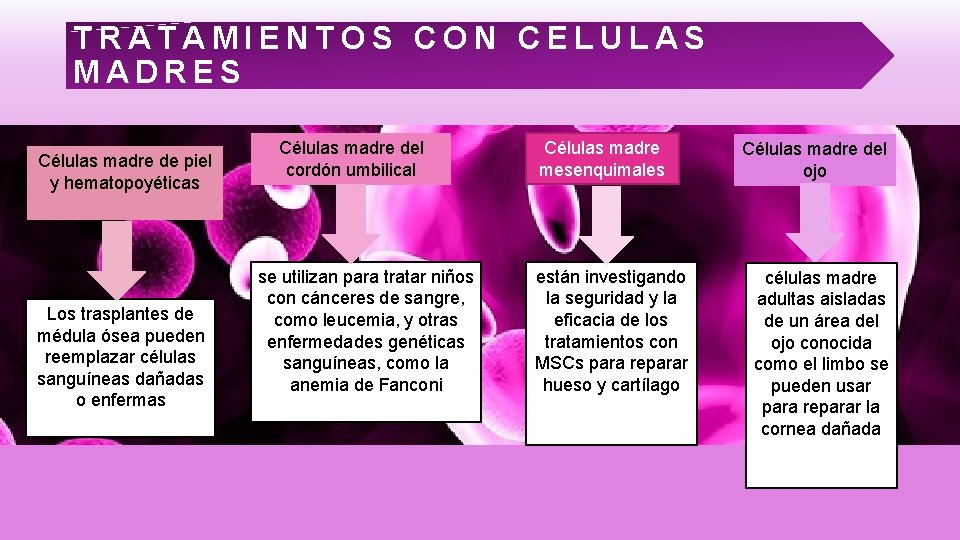 TRATAMIENTOS CON CELULAS MADRES Células madre de piel y hematopoyéticas Los trasplantes de médula