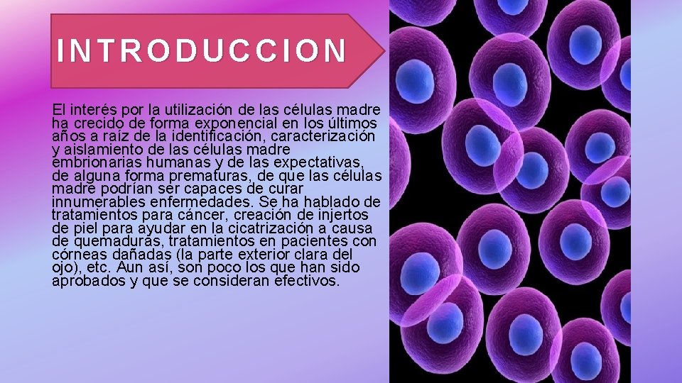 INTRODUCCION El interés por la utilización de las células madre ha crecido de forma