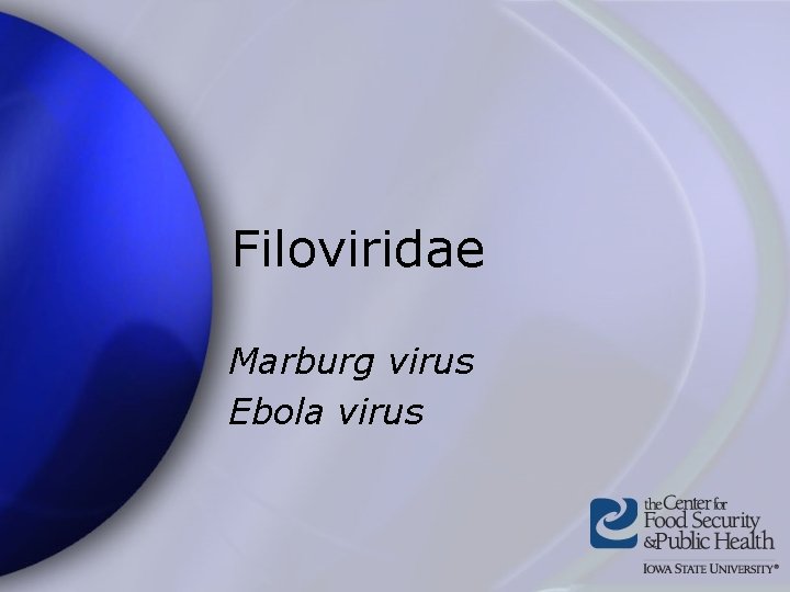Filoviridae Marburg virus Ebola virus 