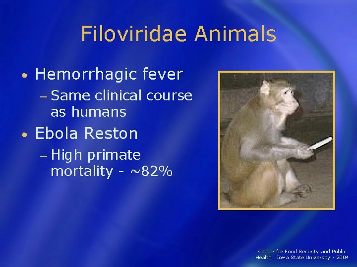 Filoviridae Animals • Hemorrhagic fever − Same clinical course as humans • Ebola Reston