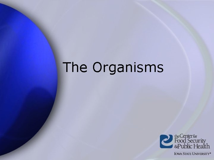The Organisms 
