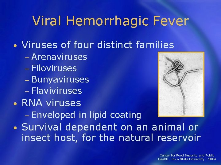 Viral Hemorrhagic Fever • Viruses of four distinct families − Arenaviruses − Filoviruses −