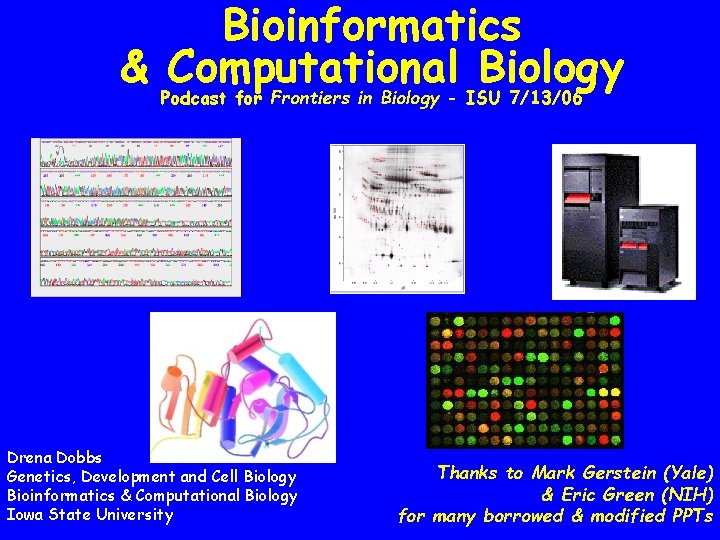 Bioinformatics & Computational Biology Podcast for Frontiers in Biology - ISU 7/13/06 Drena Dobbs