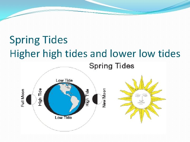 Spring Tides Higher high tides and lower low tides 