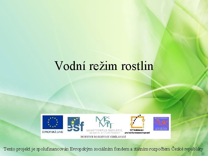 Vodní režim rostlin Tento projekt je spolufinancován Evropským sociálním fondem a státním rozpočtem České