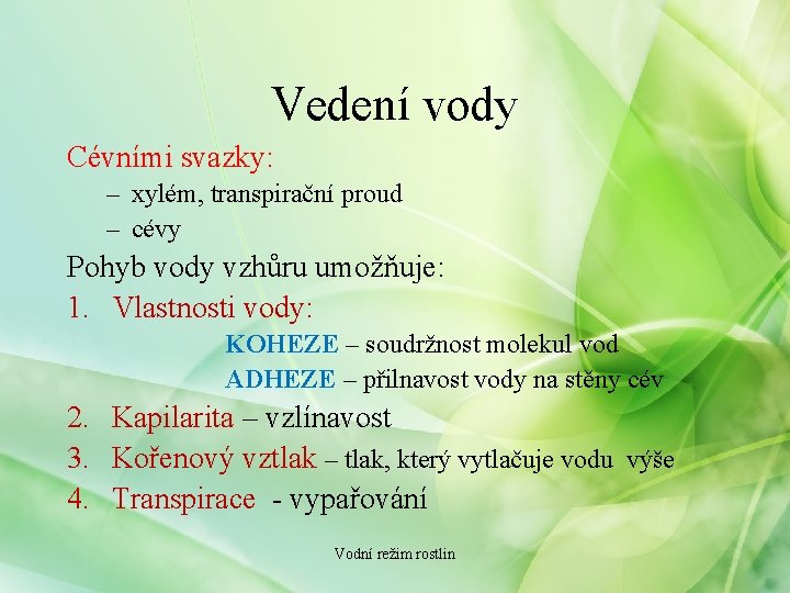 Vedení vody Cévními svazky: – xylém, transpirační proud – cévy Pohyb vody vzhůru umožňuje: